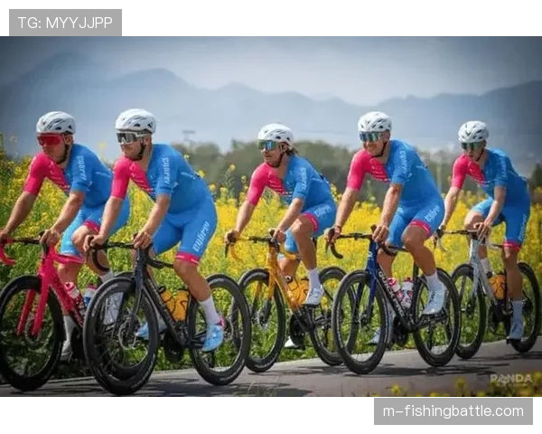 环岛赛参赛阵容创历史新高,10支世巡赛及职业车队同场竞技 环岛赛参赛阵容创历史新高,10支世巡赛及职业车队同场竞技